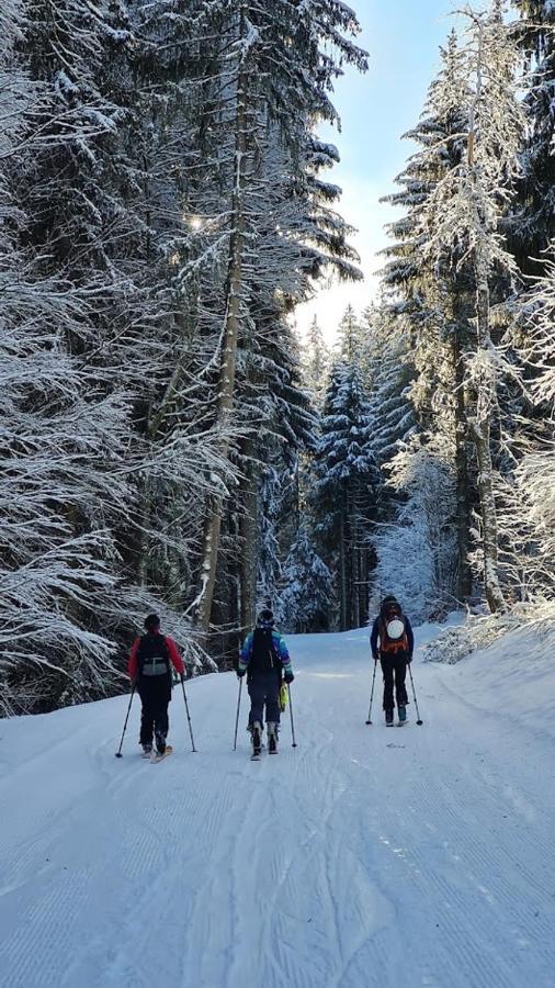 'Petite Ferme Les Bouts' Apartment, Sleeps 6, Nr Morzine La Cote d'Arbroz Exterior foto